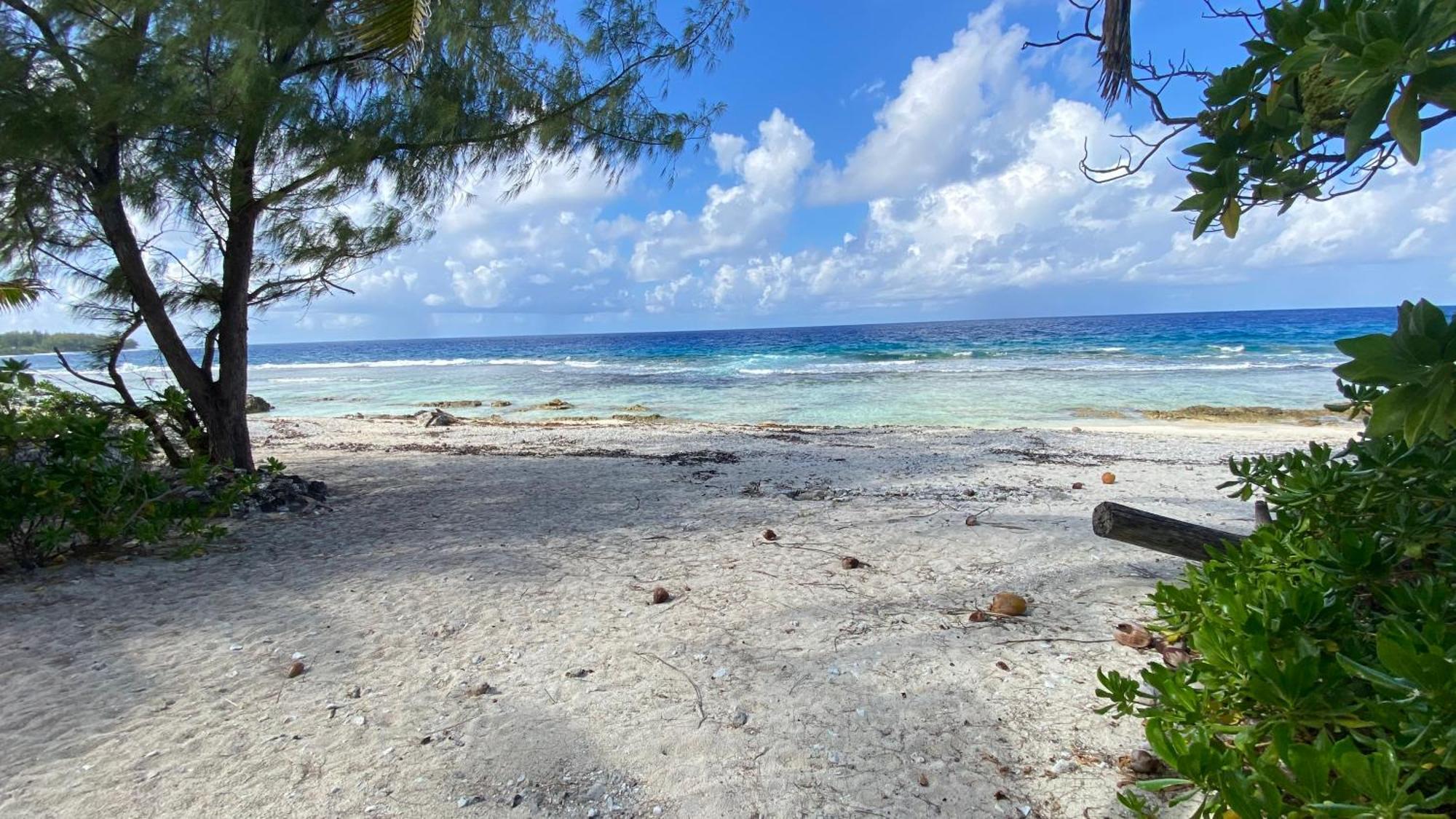 Moorea Chill And Beach Lodge Teavaro Kültér fotó