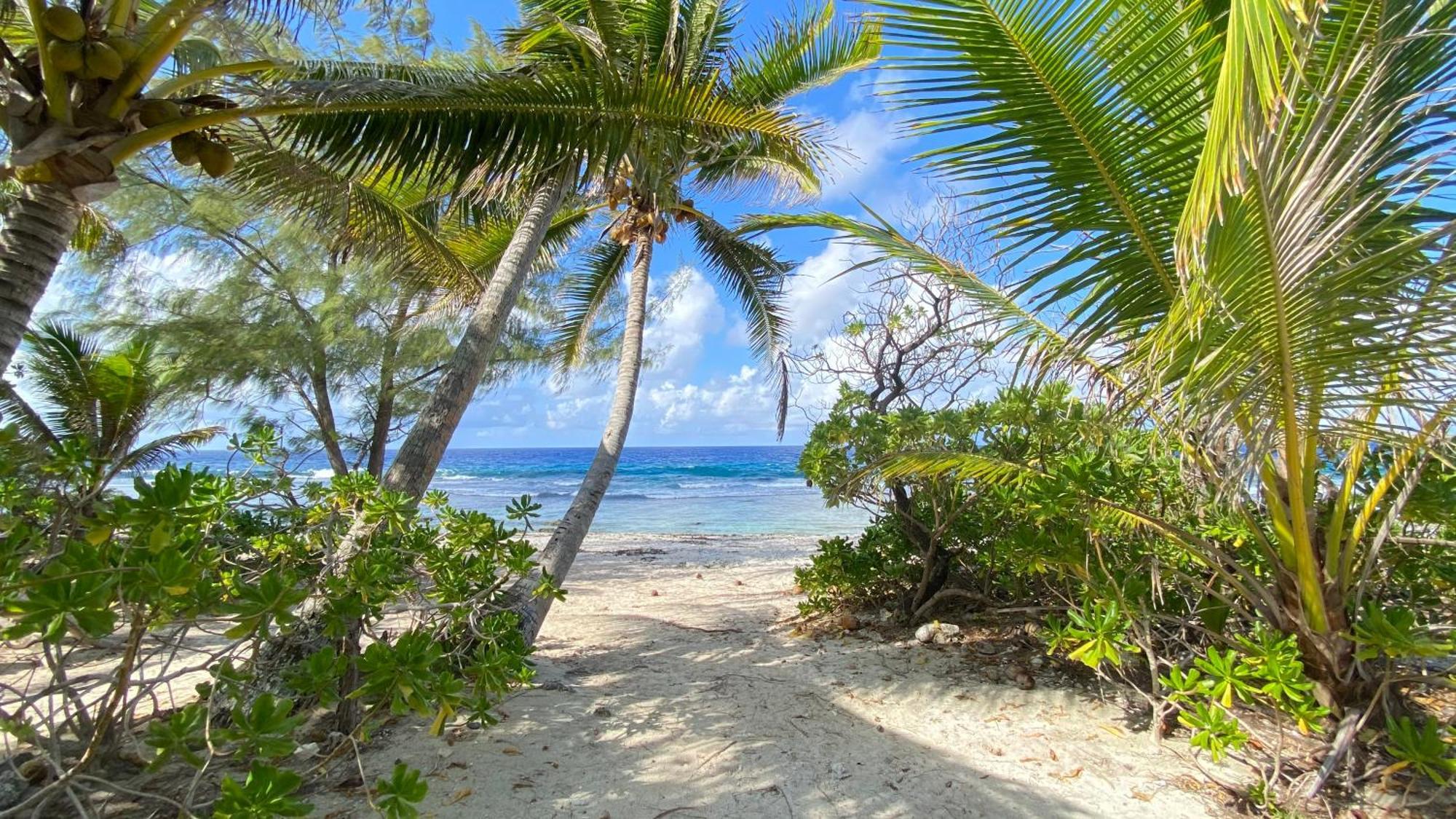 Moorea Chill And Beach Lodge Teavaro Kültér fotó
